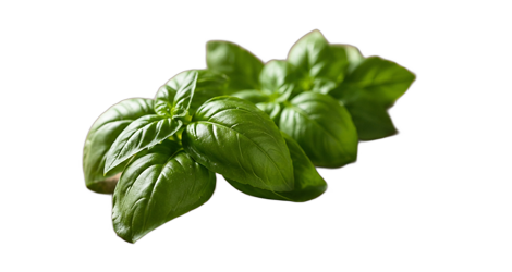 BOCAO - INGREDIENTES - SALSA PESTO