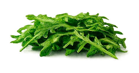 BOCAO - INGREDIENTES - RÚCULA